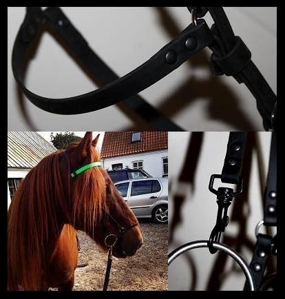 Mit Biothan udstyr - Islænder trense med farvet pandebånd, indsendt af 
Lise Baumbach billede 9