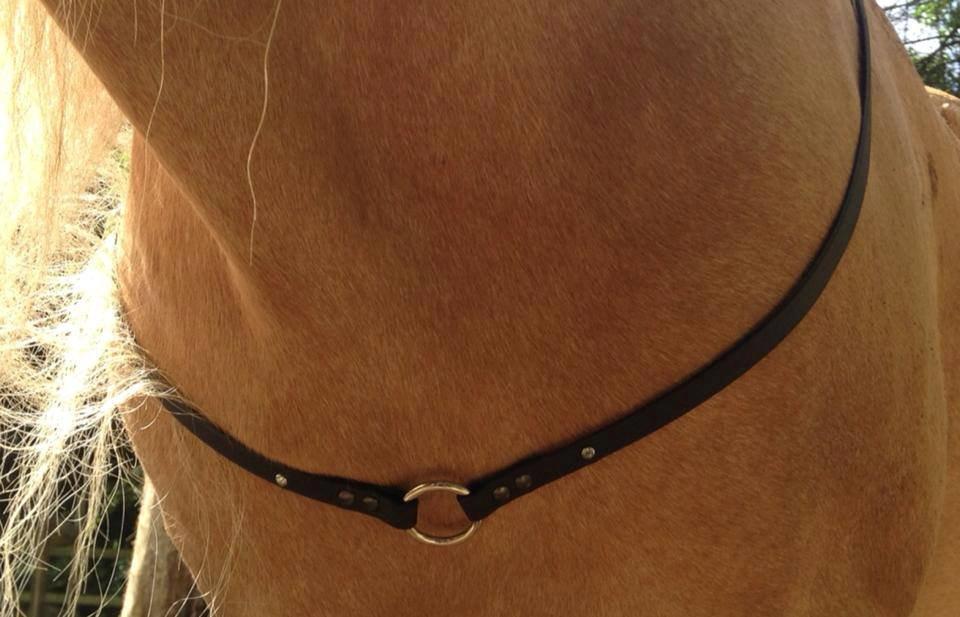 Mit Biothan udstyr - Cordeo billede 12