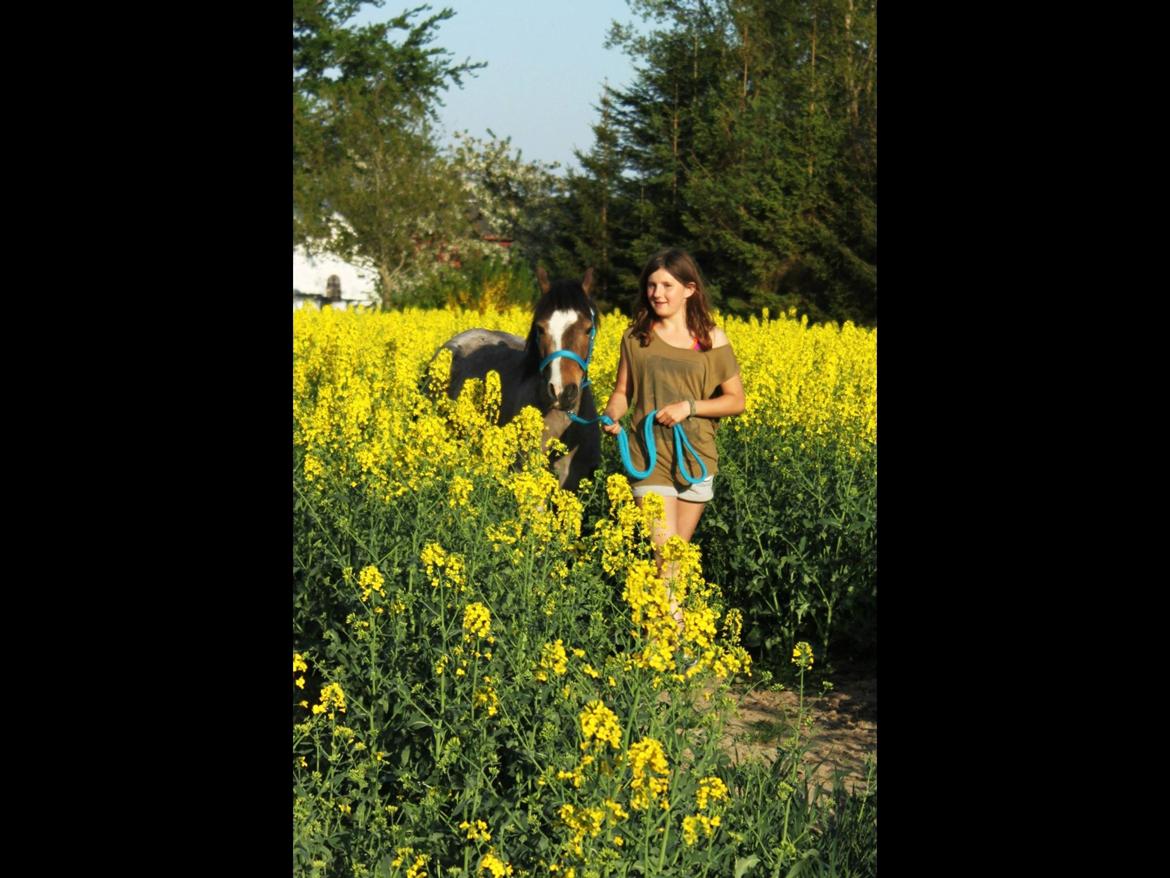 Når raps markerne er gulest, og græs markerne grønnest...<3 billede 8