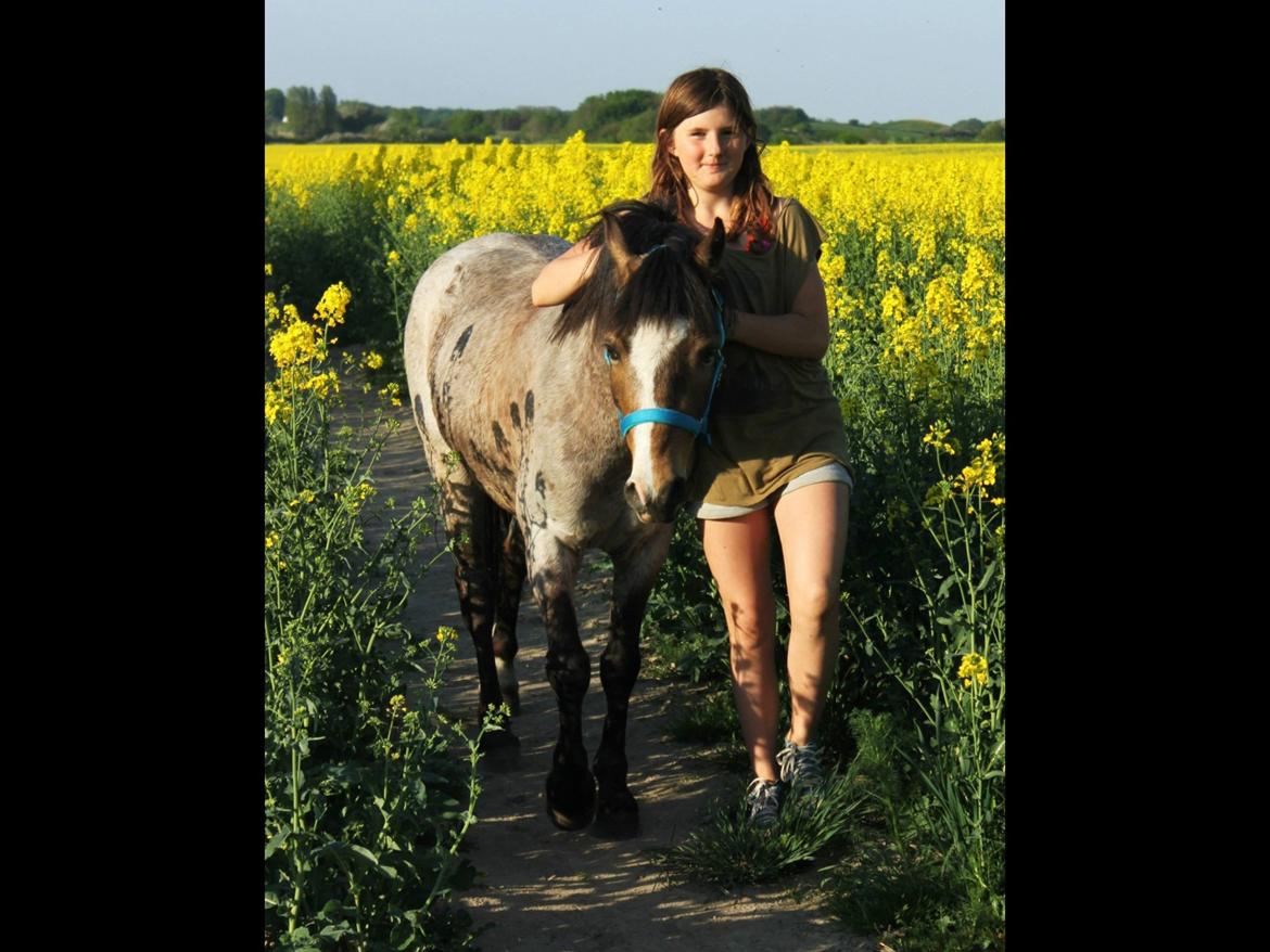 Når raps markerne er gulest, og græs markerne grønnest...<3 billede 4