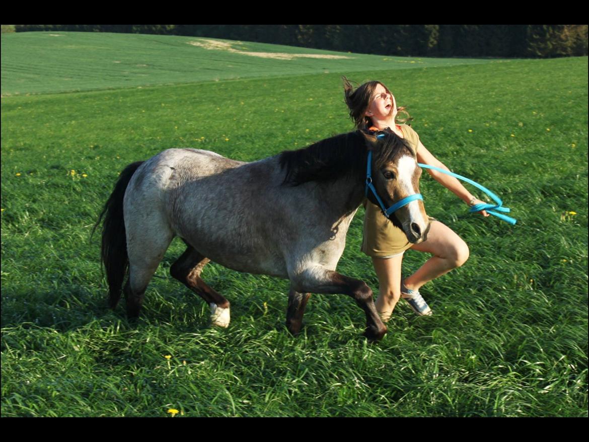 Når raps markerne er gulest, og græs markerne grønnest...<3 billede 3