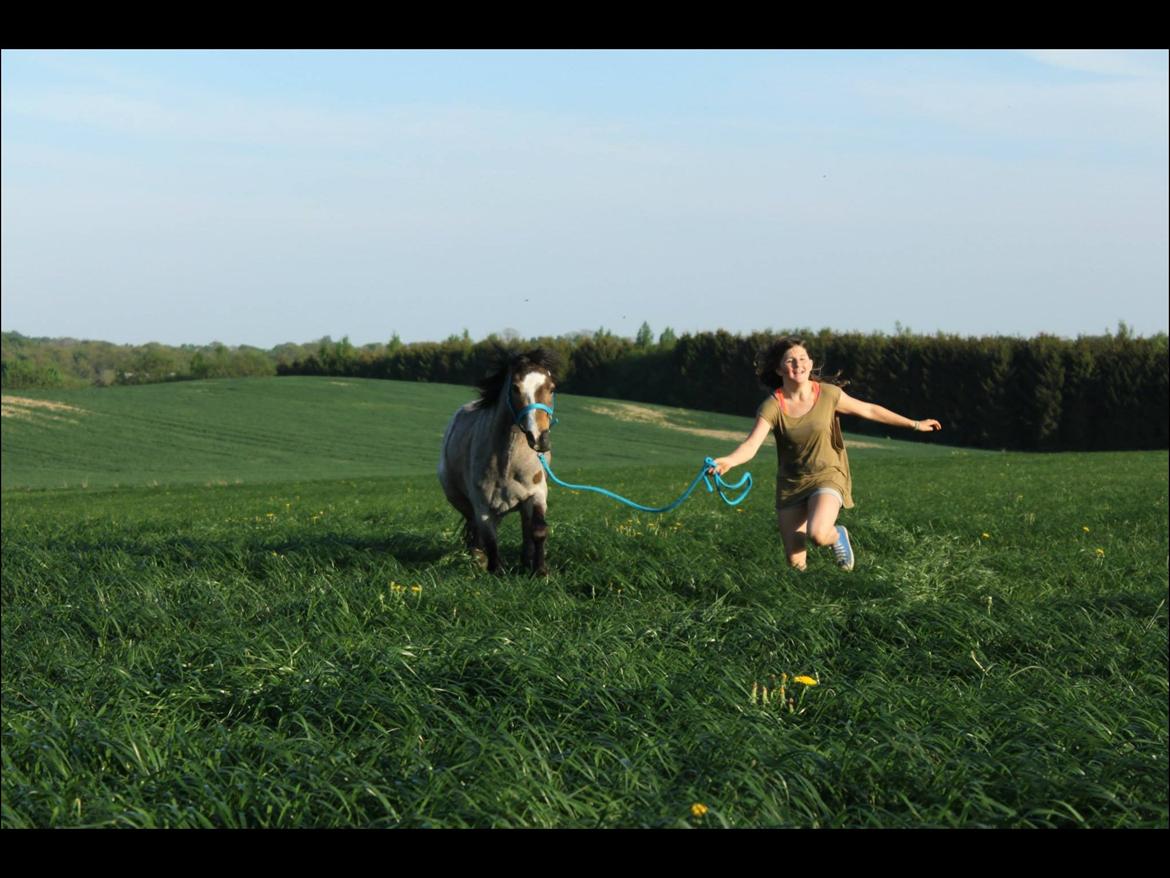 Når raps markerne er gulest, og græs markerne grønnest...<3 billede 2