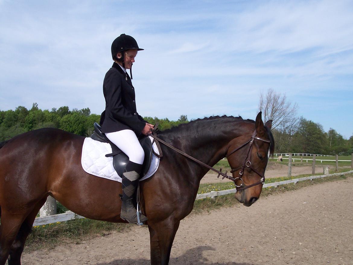 Heste gennem tidens løb - Rixta - 'Tidligere hest' billede 6