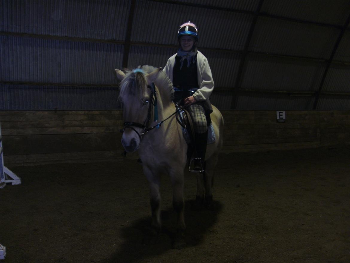 Heste gennem tidens løb - Basse - Tidligere part billede 10