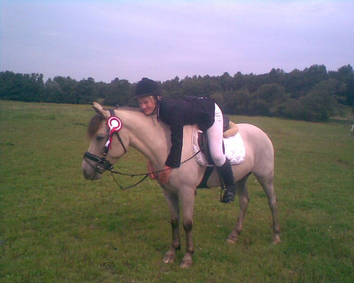 Heste gennem tidens løb - Jumper - Salgspony billede 11