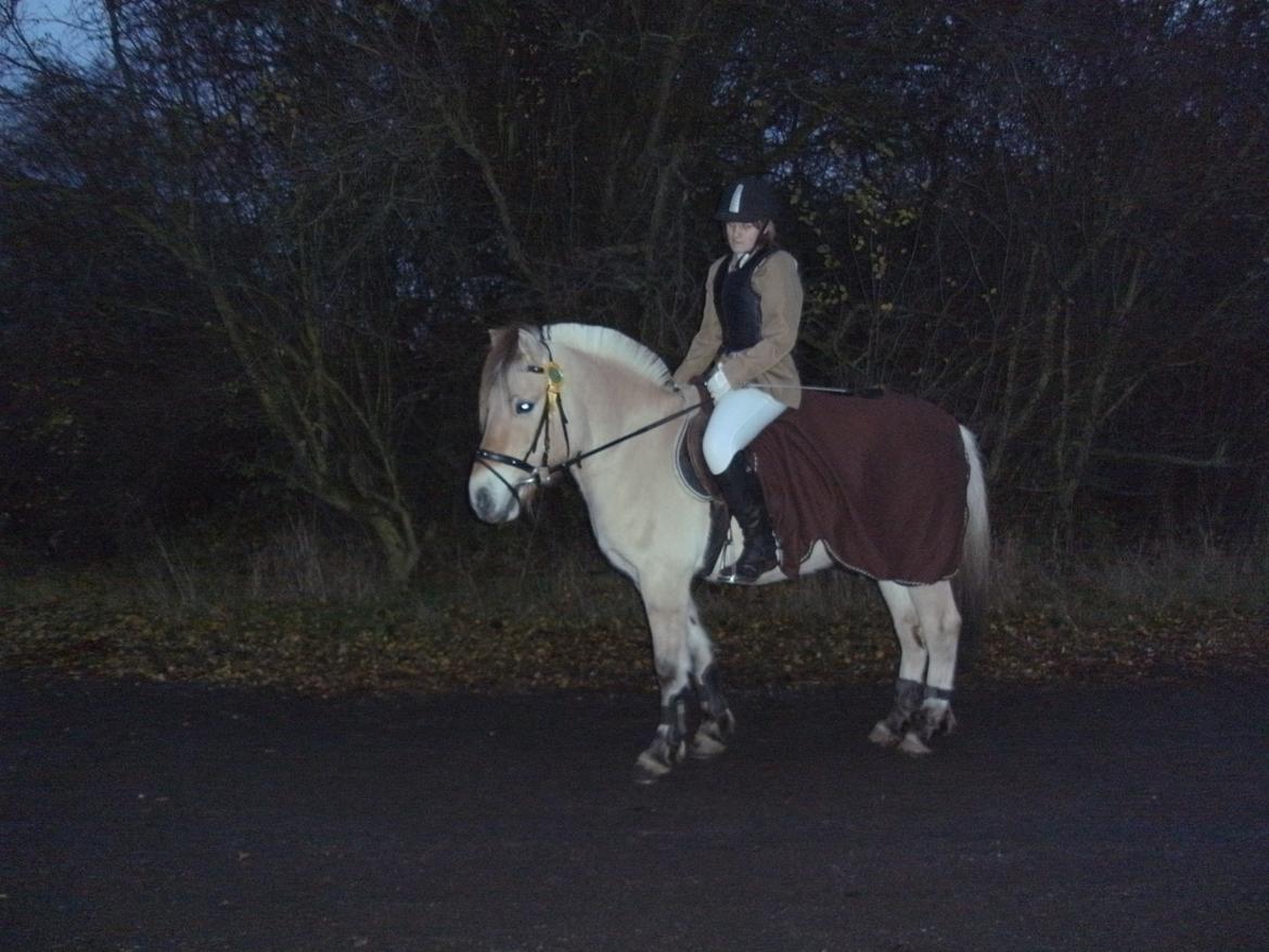 Heste gennem tidens løb - Basse - Tidligere part billede 12