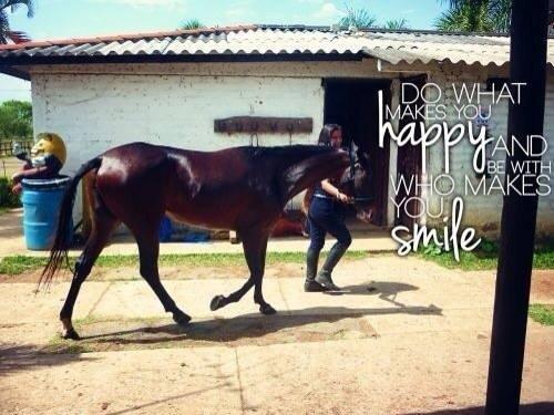 Heste Quotes. billede 35