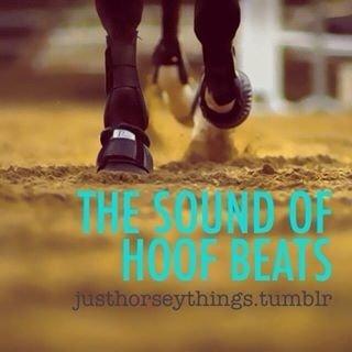 Heste Quotes. billede 33