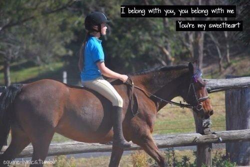 Heste Quotes. billede 31