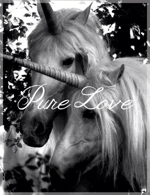 Heste Quotes. billede 29