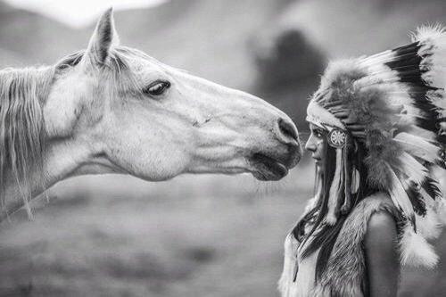 Heste Quotes. billede 27