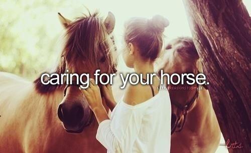 Heste Quotes. billede 25