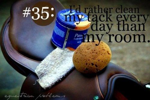 Heste Quotes. billede 20