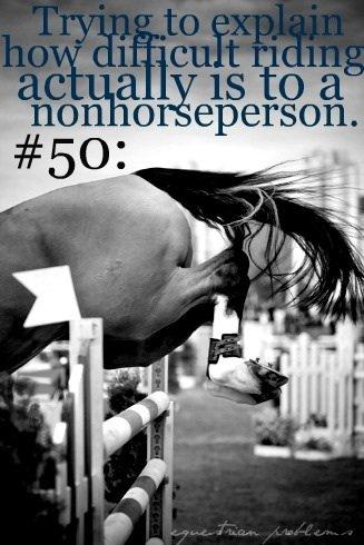 Heste Quotes. billede 19