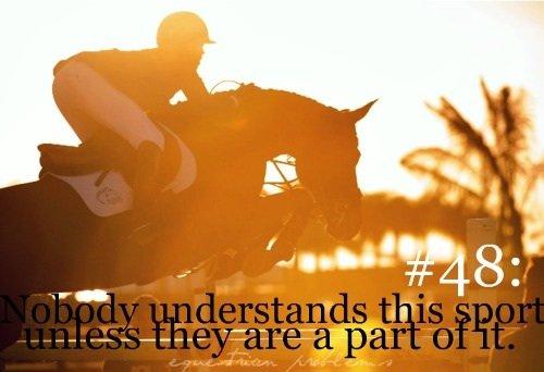 Heste Quotes. billede 17