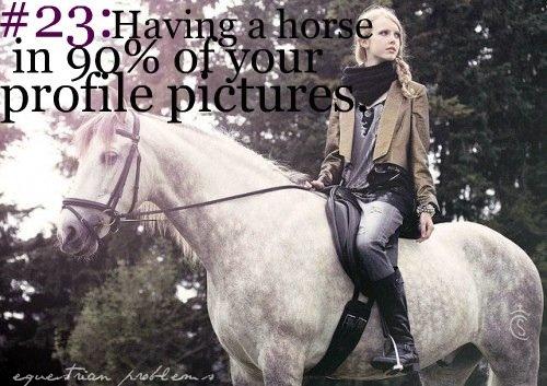 Heste Quotes. billede 16