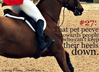 Heste Quotes. billede 14