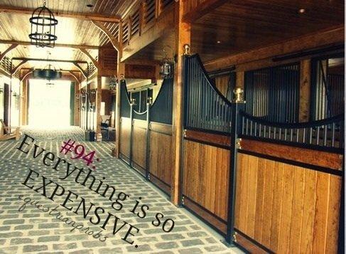 Heste Quotes. billede 13