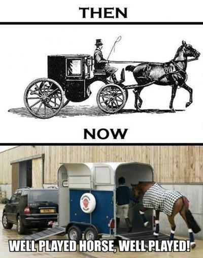 Heste Quotes. billede 12