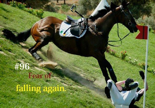 Heste Quotes. billede 7