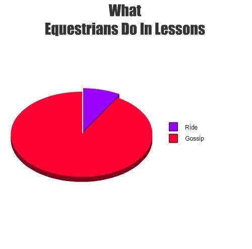 Heste Quotes. billede 6