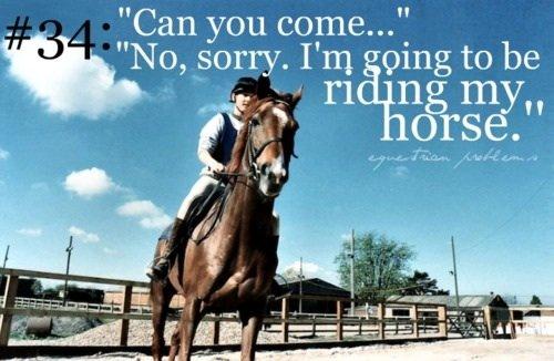 Heste Quotes. billede 5
