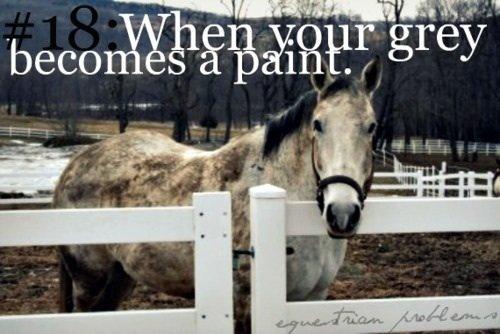 Heste Quotes. billede 4