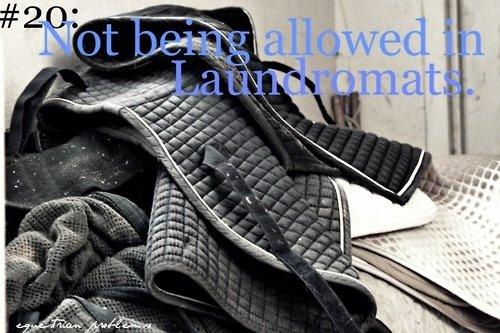 Heste Quotes. billede 3