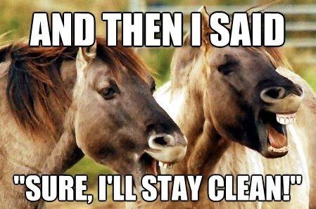 Heste Quotes. billede 2