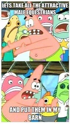 Heste Quotes. billede 1