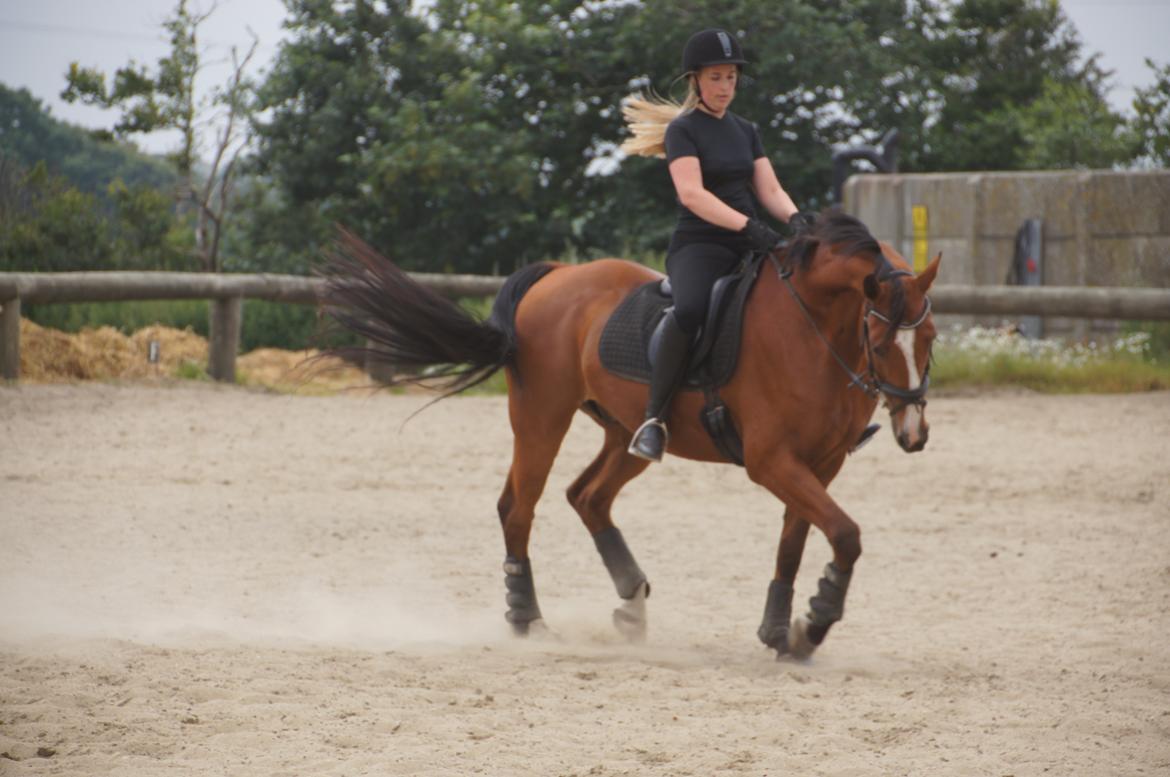 Landanos <3 billede 3