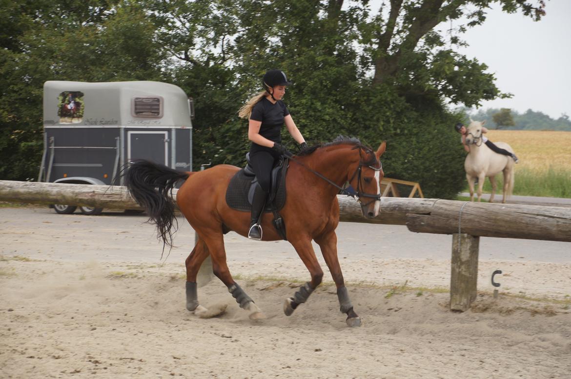 Landanos <3 billede 4