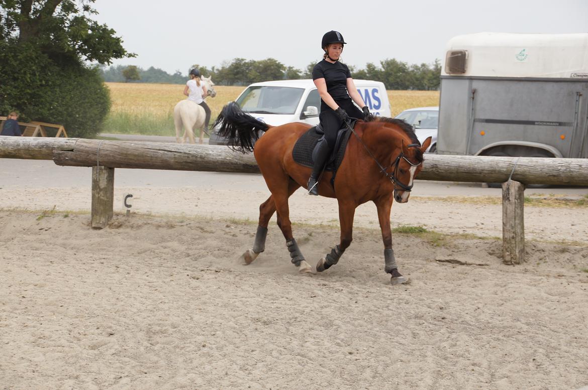 Landanos <3 billede 5