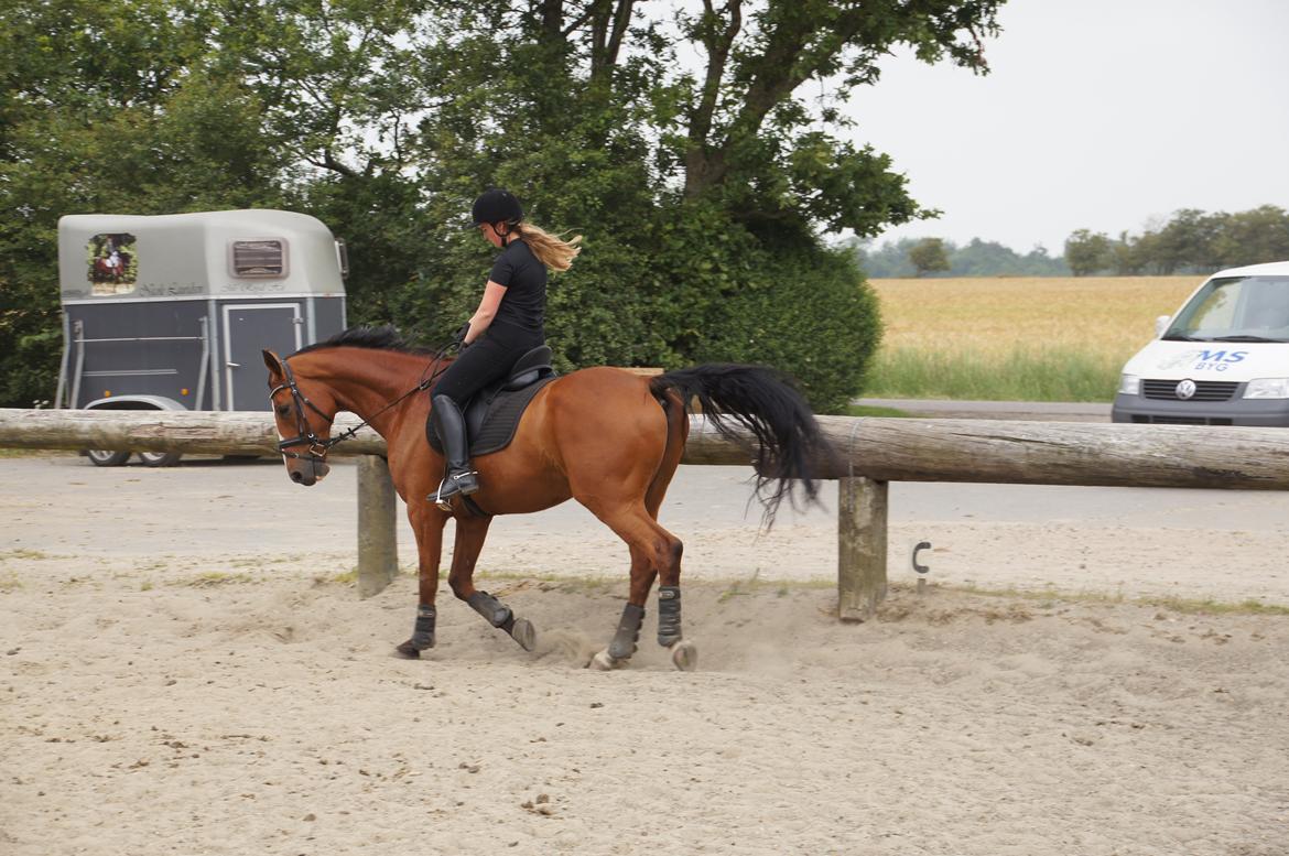 Landanos <3 billede 6