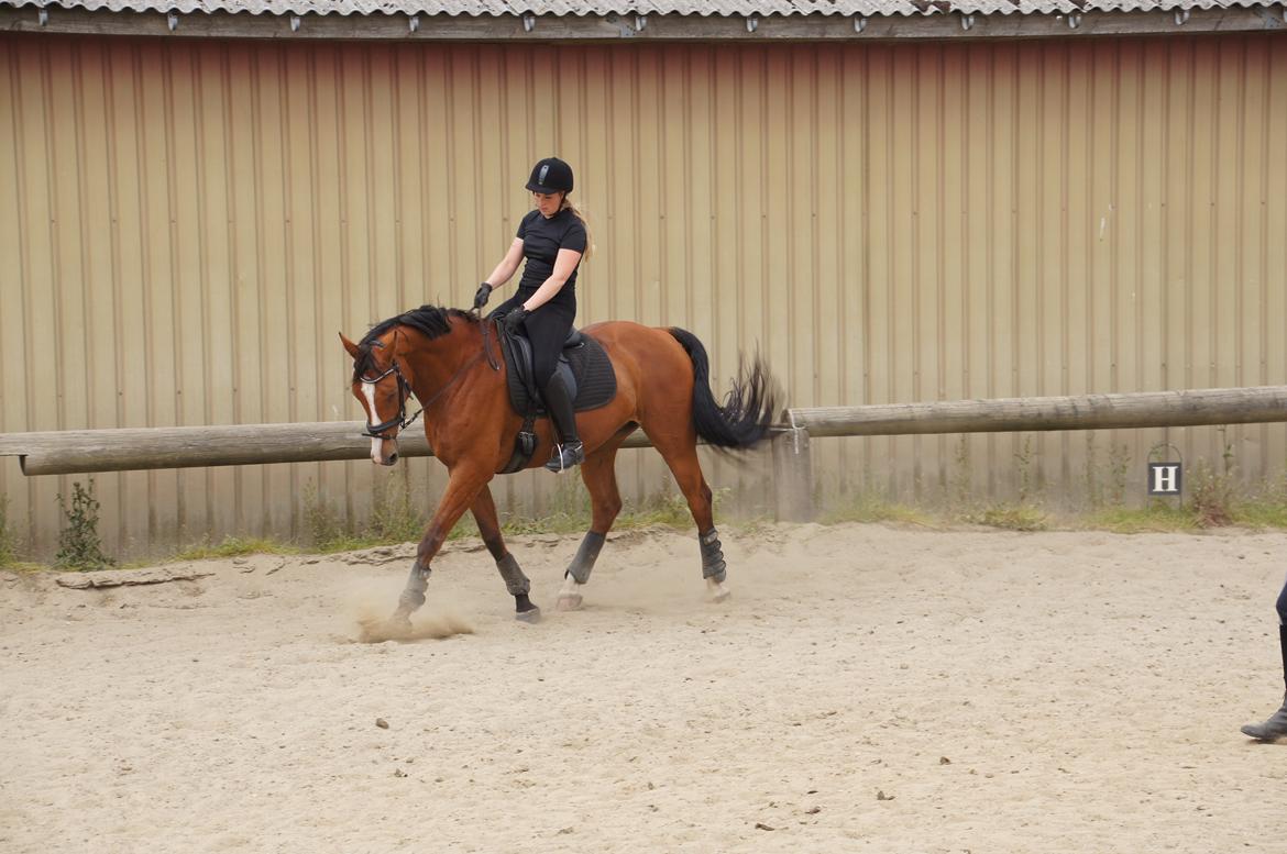 Landanos <3 billede 7