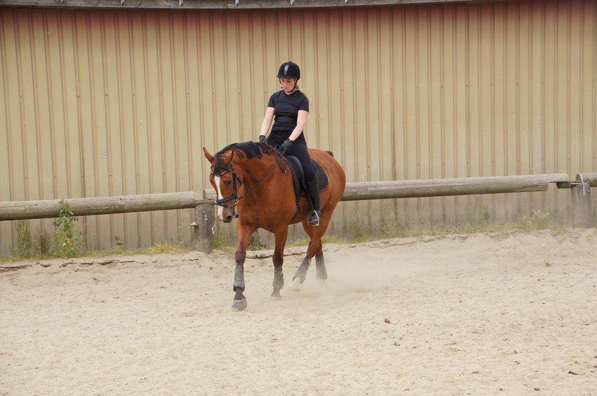 Landanos <3 billede 8