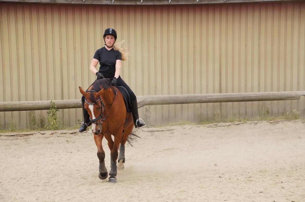 Landanos <3 billede 9