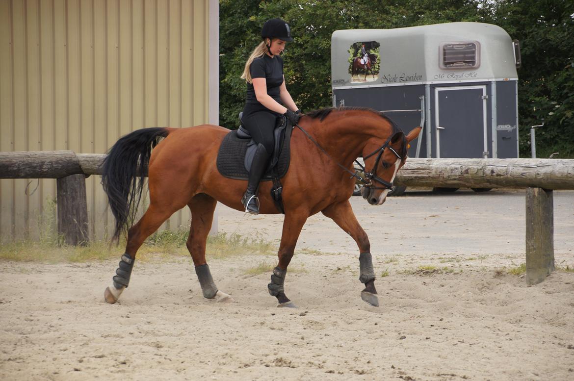 Landanos <3 billede 10