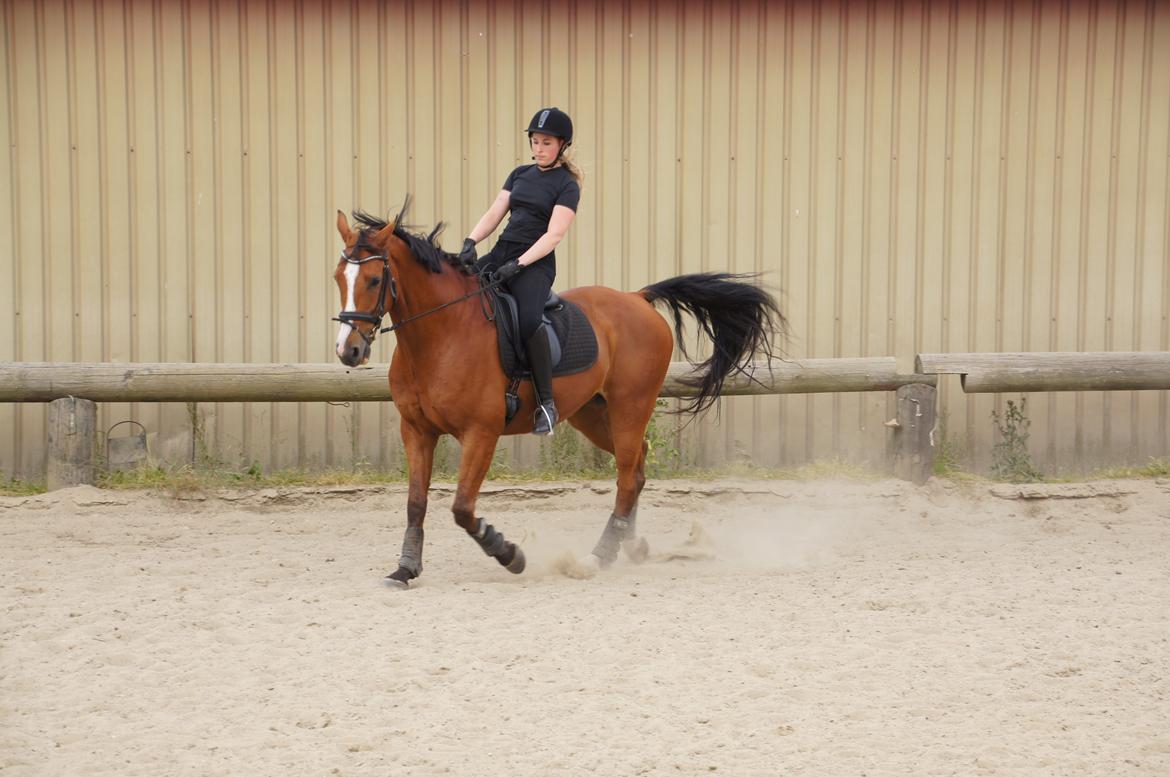 Landanos <3 billede 11