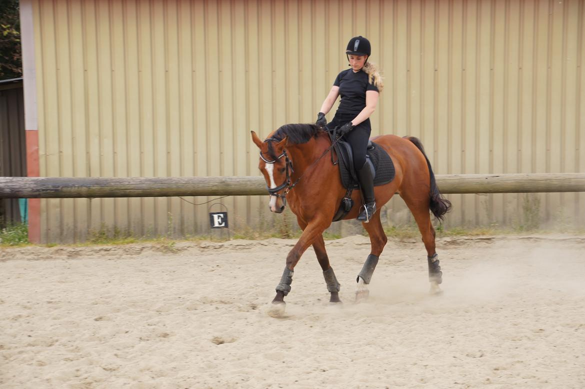 Landanos <3 billede 12