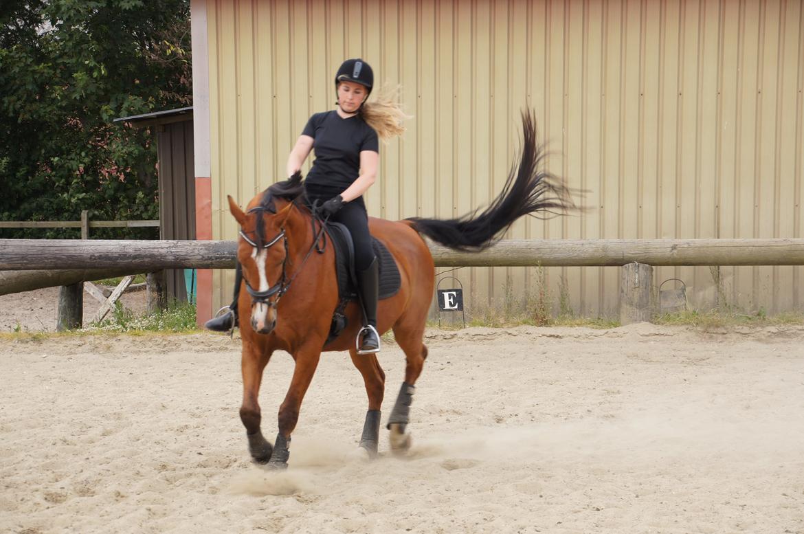 Landanos <3 billede 13