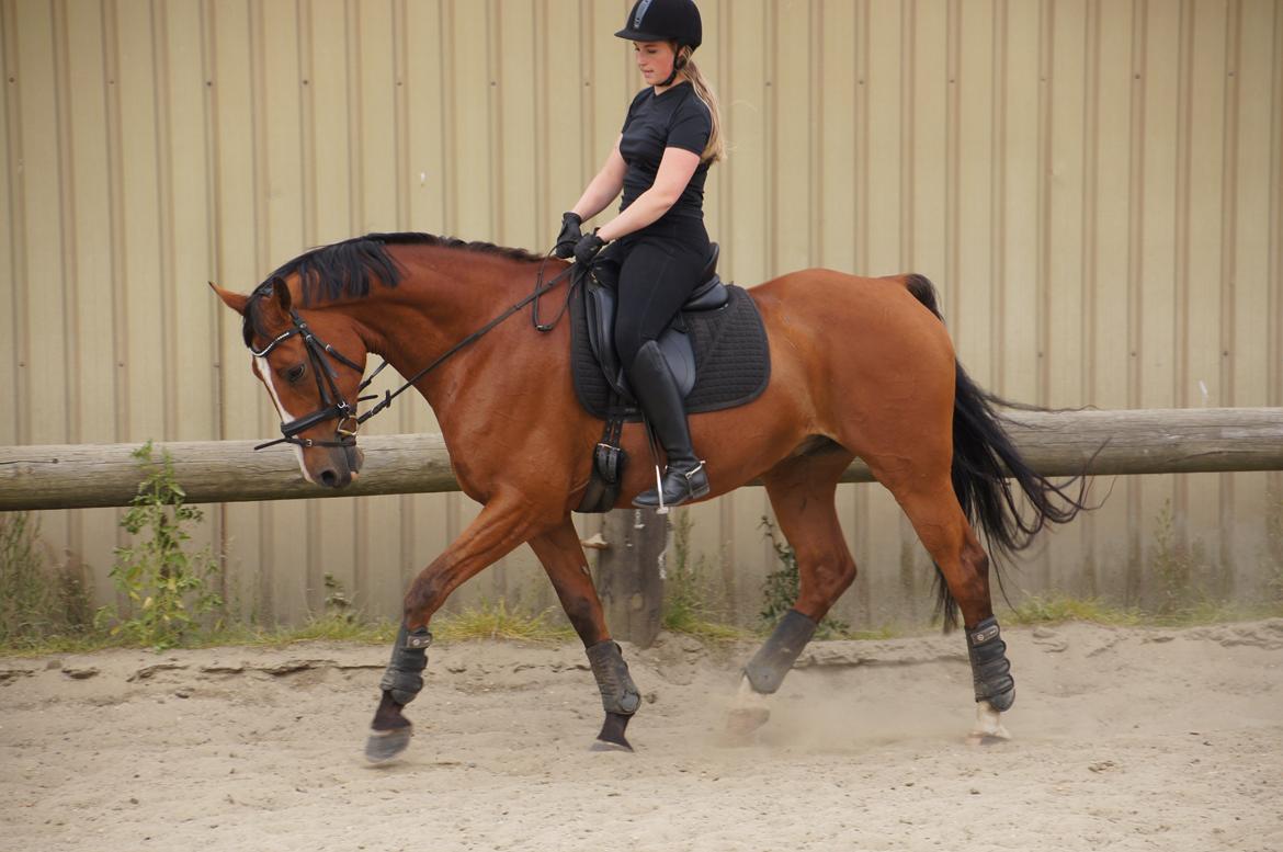 Landanos <3 billede 14