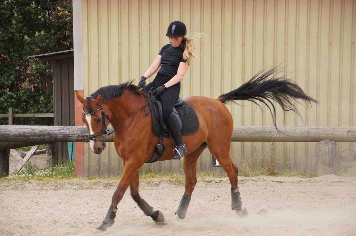 Landanos <3 billede 15