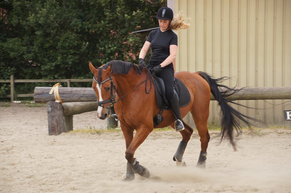 Landanos <3 billede 16