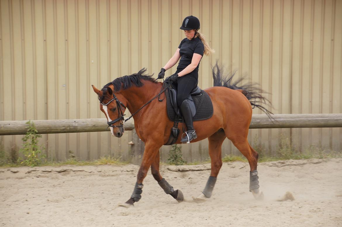 Landanos <3 billede 17