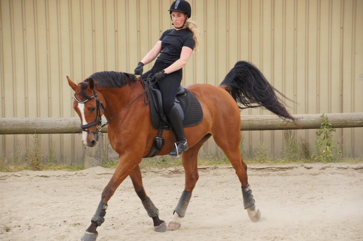 Landanos <3 billede 18