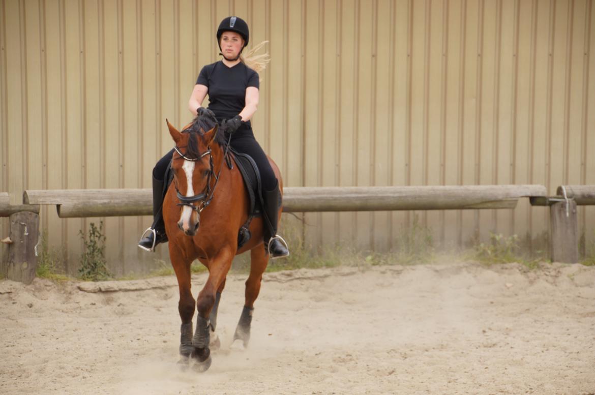 Landanos <3 billede 20