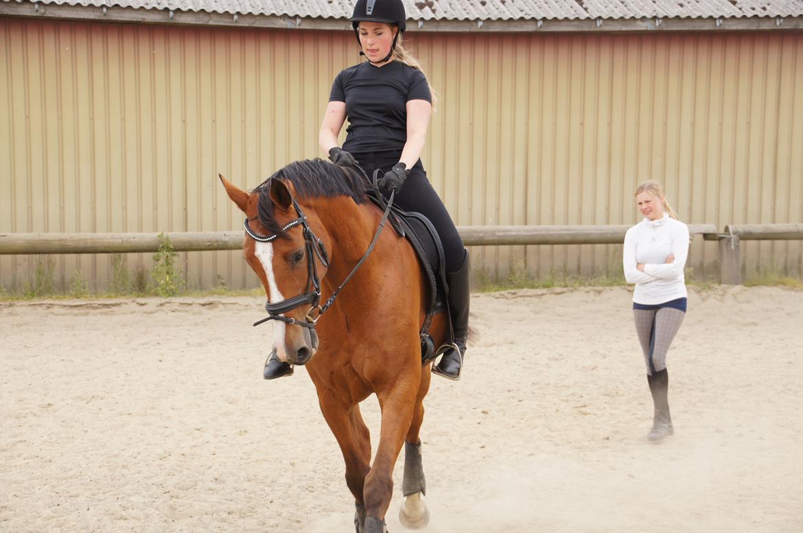 Landanos <3 billede 21