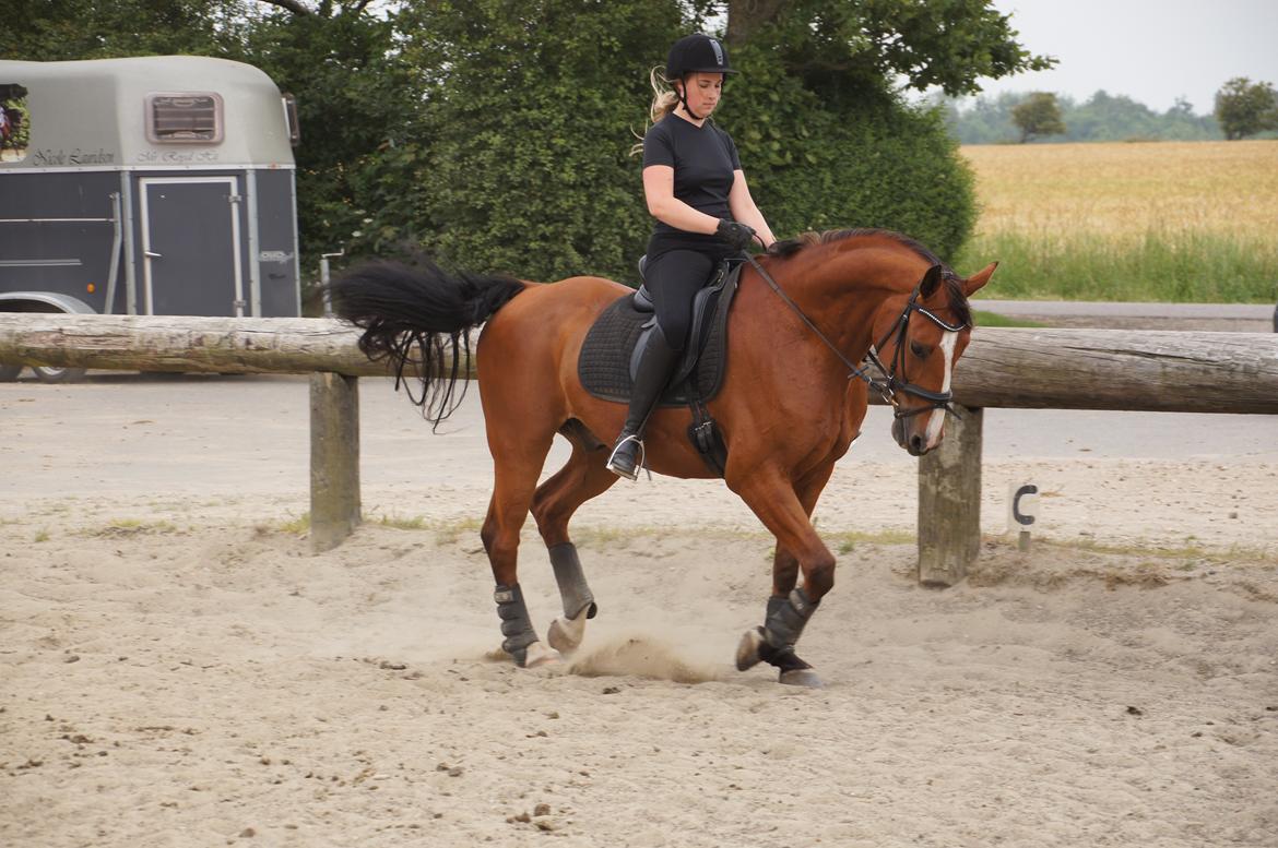 Landanos <3 billede 22