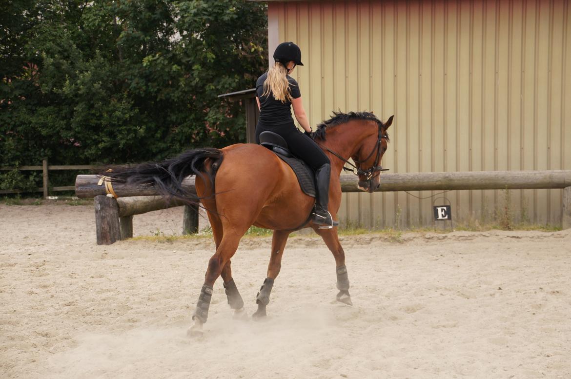 Landanos <3 billede 23